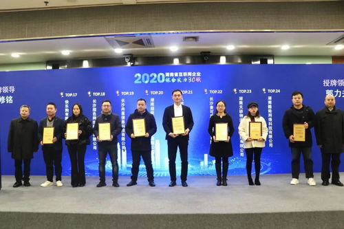 2020年湖南省互联网企业50强揭晓 八戒科技服务凭借信息技术咨询服务优势再度荣登榜单