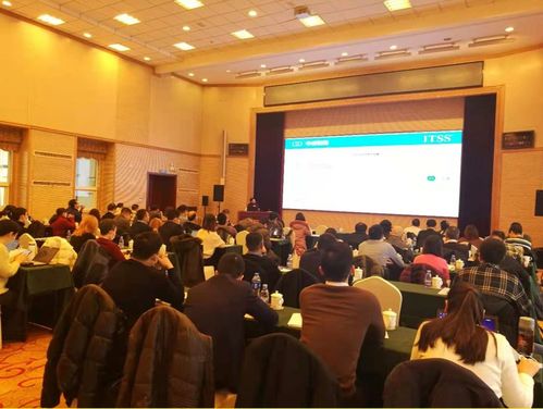 信息技术咨询服务 标准与实践