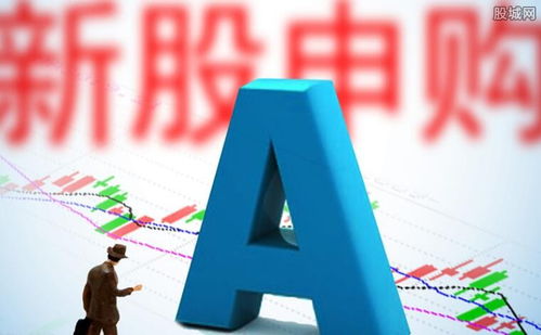 骏成科技申购价值分析 信息技术咨询服务的专业提供商