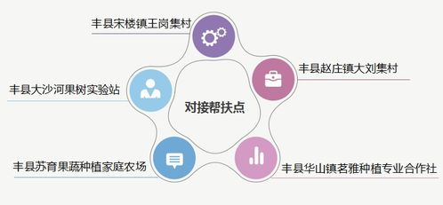 农业科技服务工作再创佳绩 信息技术咨询服务的核心作用